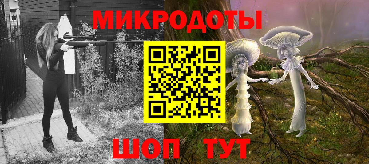 Псилоцибиновые грибы Psilocybe Новоуральск