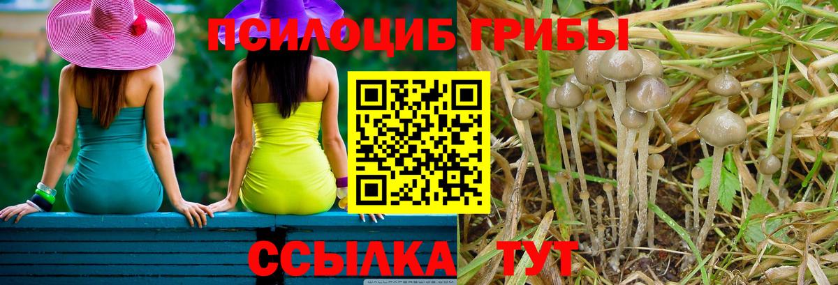 Новоуральск  где можно купить   Вход с VPN  Псилоцибиновые грибы MAGIC MUSHROOMS 
